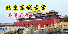 男人的鸡巴扎进女人的逼里免费无遮挡中国北京-东城古宫旅游风景区